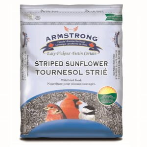 Tournesol strié, nourriture pour oiseaux sauvages - Armstrong
