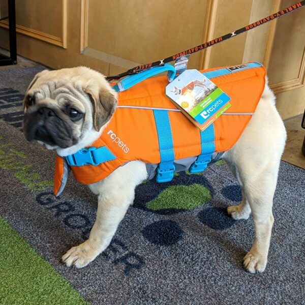 Veste de Flottaison pour chiens - RC Pets Tidal Life Vest