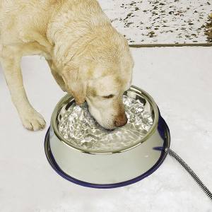 Bol Chauffant en Acier Inoxydable pour chiens, 102 oz (3 litres) - K&H Pet Products