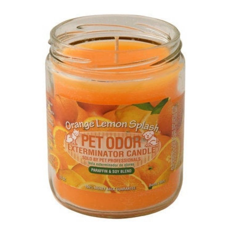 Finding the Right Pet Odor Eliminator A Comprehensive Guide