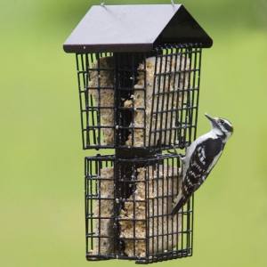 Cage à Suif Quadruple avec Toit pour oiseaux sauvages – More Birds