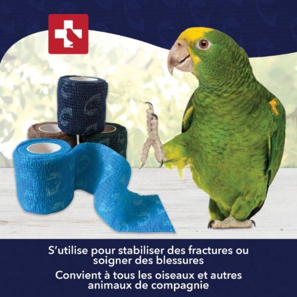 Bandage élastique autoadhésif Comfy Wrap pour Oiseaux, 5 cm x 4,5 m - HARI