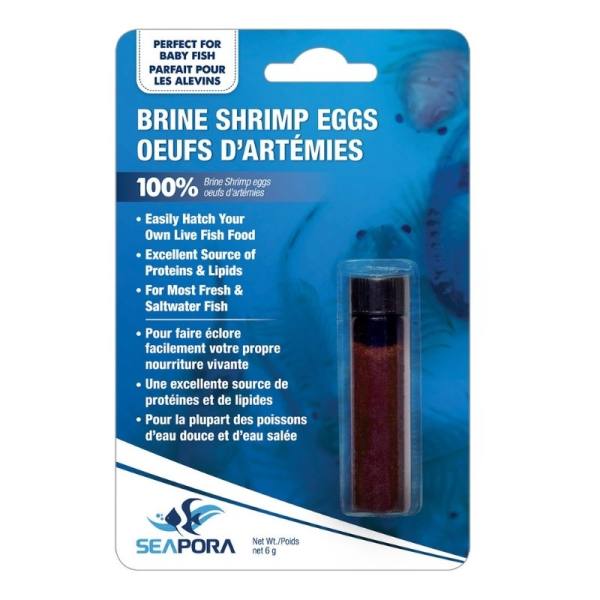 Oeufs d'Artémies "Brine Shrimp" à faire éclore, 6g - Seapora