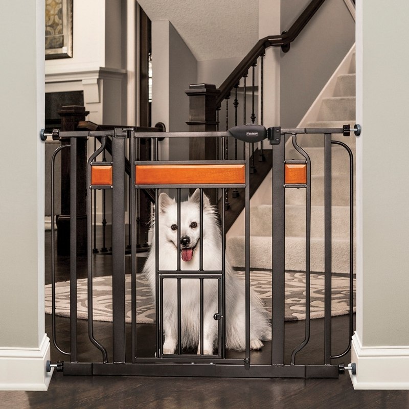 Barrière pour chien - Barrière pour chien - Barrière pour chien - Barrière  d'escalier