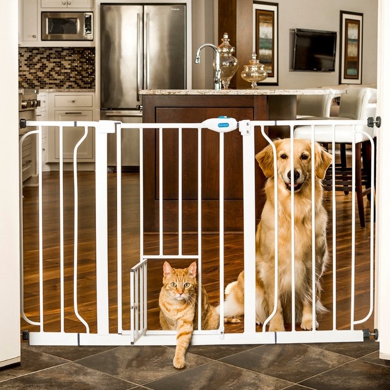 Barrière Dog Barrier 2 avec chatière : avis, test, prix - Conso Animo